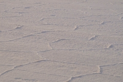 Altiplano