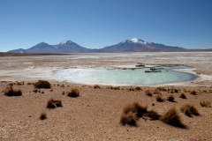 Altiplano