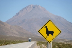 Altiplano