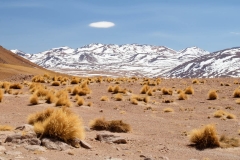 Altiplano