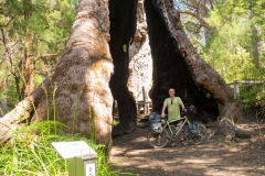 Západní Austrálie - Western Australia-101