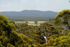 Západní Austrálie - Western Australia-103