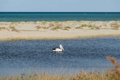 Západní Austrálie - Western Australia-155