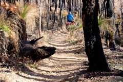 Západní Austrálie - Western Australia-2