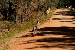 Západní Austrálie - Western Australia-21