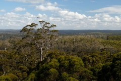 Západní Austrálie - Western Australia-68