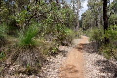 Západní Austrálie - Western Australia-8