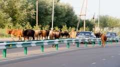 Tádžikistán - Tajikistan-2