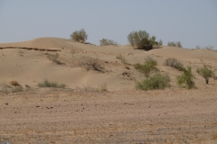 Turkmenistán / Turkmenistan