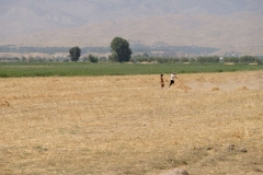 Uzbekistán - Uzbekistan-10