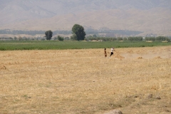 Uzbekistán - Uzbekistan-10