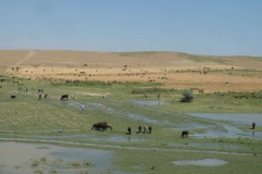 Uzbekistán - Uzbekistan-32