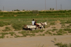 Uzbekistán - Uzbekistan-4