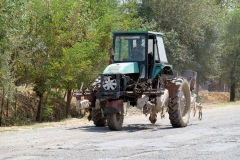 Uzbekistán - Uzbekistan-6